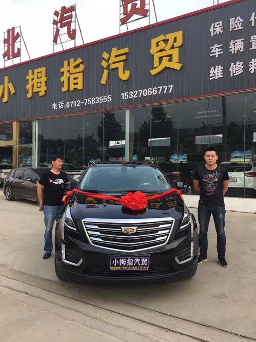 大悟小拇指汽貿 專業(yè)汽車信息咨詢服務指南